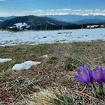 Lodge орцево Ortsevo