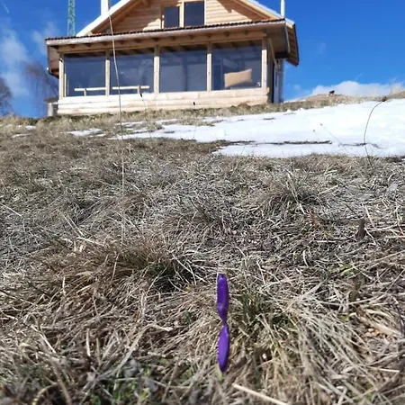 Lodge орцево