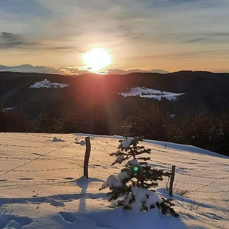 Lodge орцево *