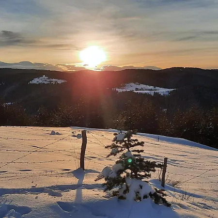 Jaktstuga орцево