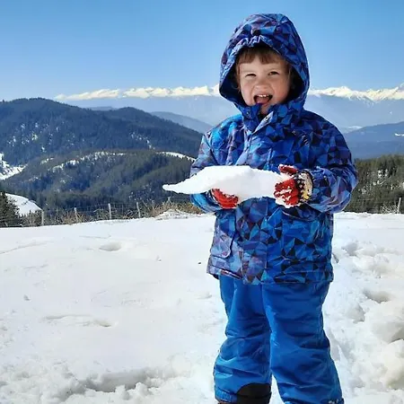 орцево بيت خشبي