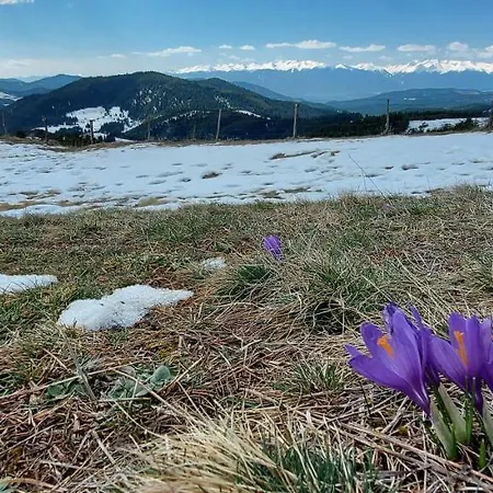 Hytte орцево Ortsevo