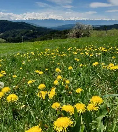 орцево Ortsevo