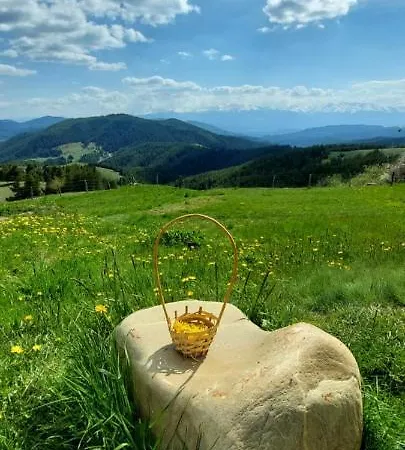 орцево *