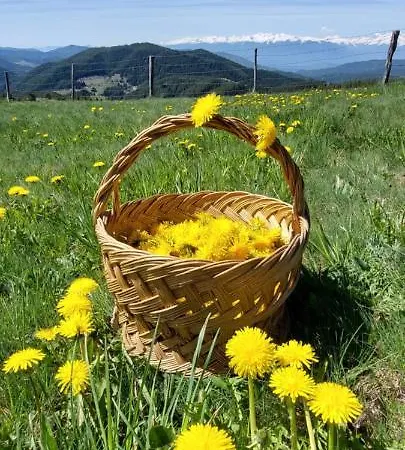 بيت خشبي орцево Ortsevo