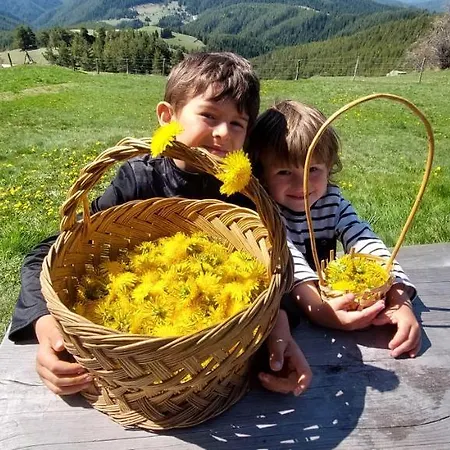 Lodge орцево *