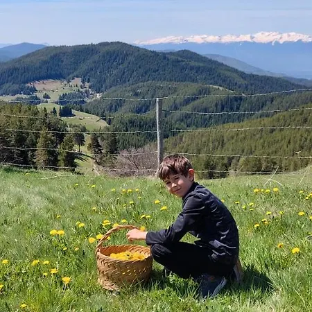 орцево * Ortsevo