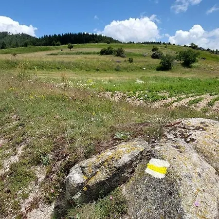 орцево Ortsevo