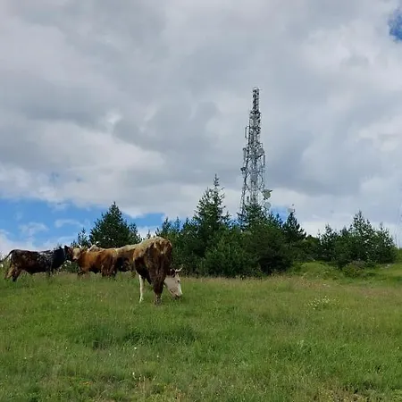орцево Jaktstuga *