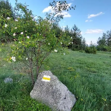 Jaktstuga орцево Ortsevo