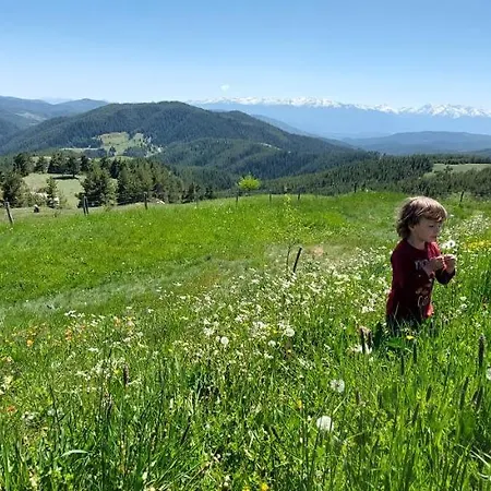 Lodge орцево *