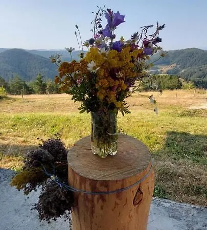 بيت خشبي орцево