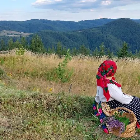 орцево Ortsevo