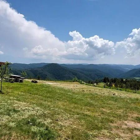 Jaktstuga орцево *