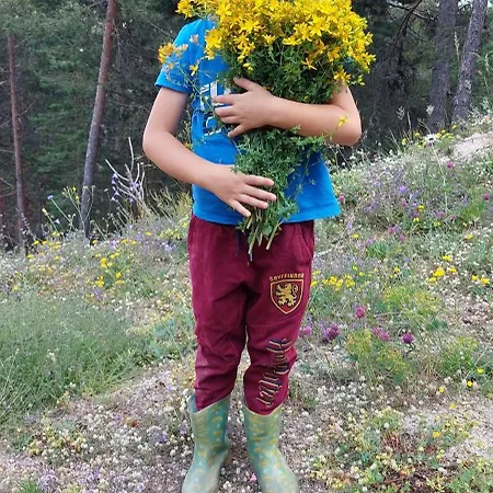 орцево * Ortsevo