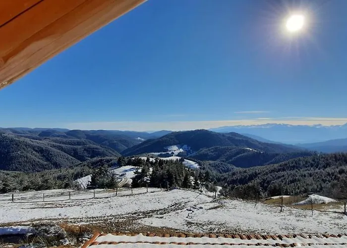 אכסניה орцево *