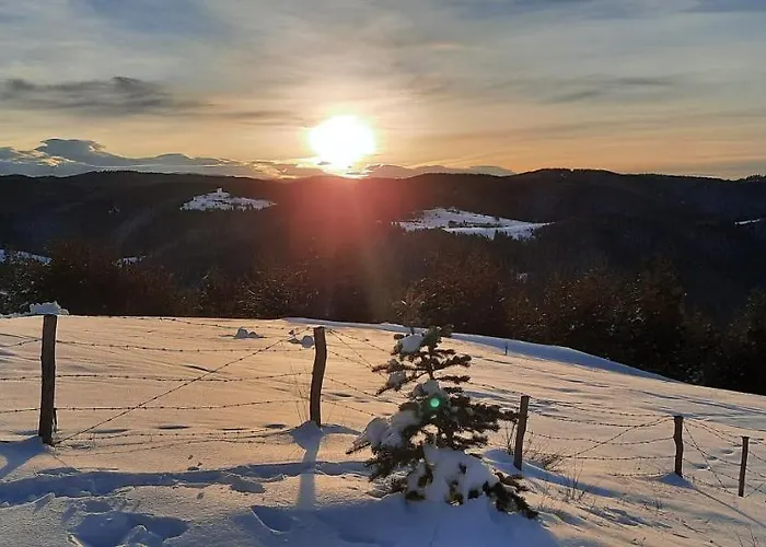 אכסניה орцево *