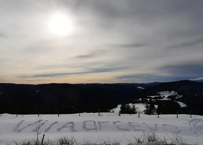 אכסניה орцево *