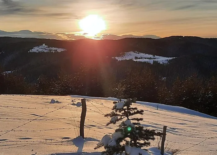 אכסניה орцево