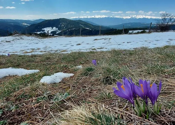 Хижа орцево Ortsevo