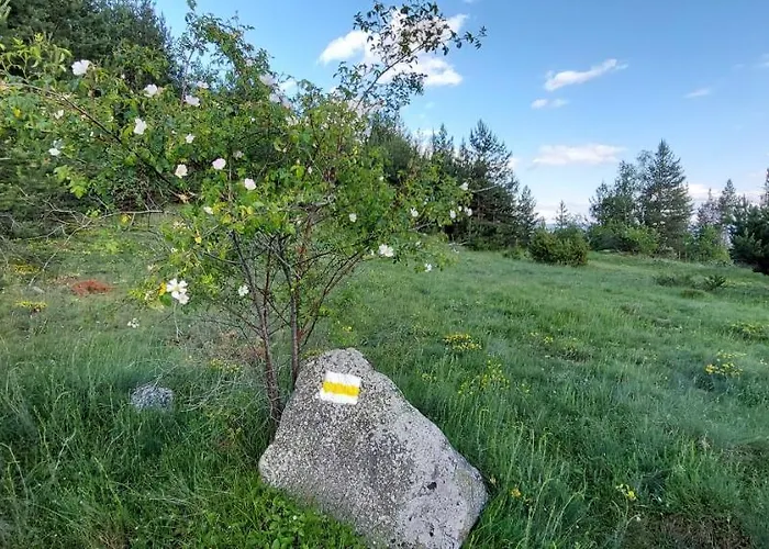 אכסניה орцево Ortsevo