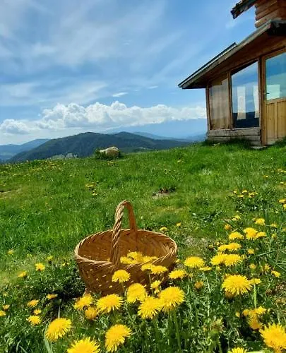 אכסניה орцево