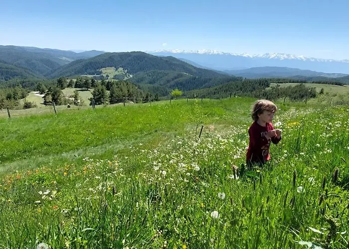אכסניה орцево *