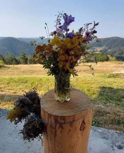 אכסניה орцево